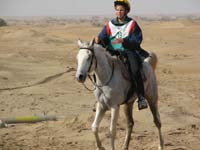 /international/2006Walvisbay/images/Loop2/thumbnails/loop2 061.jpg
